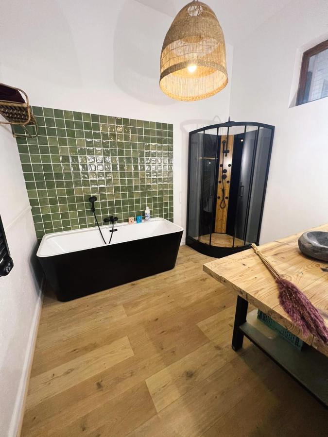 Appartement Studio Loft Cosy Centre St Etienne Saint-Etienne  Exteriör bild